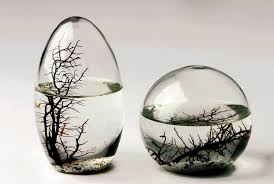 ecosphere