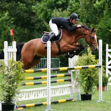 equitation