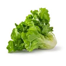 escarole