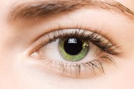 eyesight