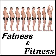 fatness