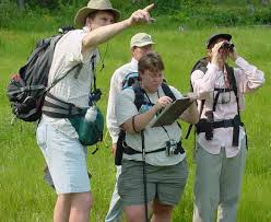 fieldwork