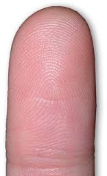 finger-tip