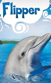 flipper