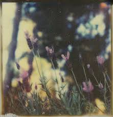 florulent