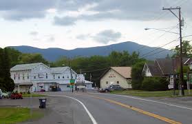 freehold