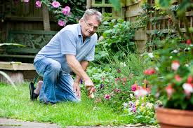 gardener