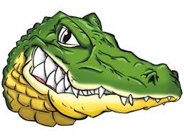gator