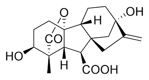gibberellin