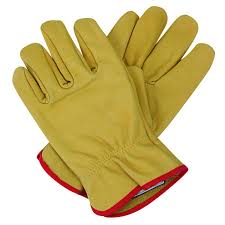 gloves