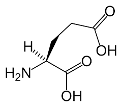 glutamate