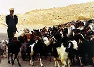 goatherd