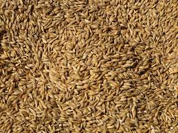 grain