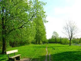 greenness