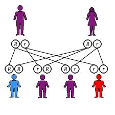heritable