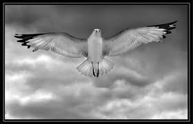 high-flown