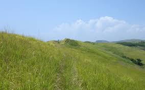 hilltop
