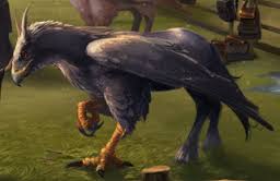 hippogriff