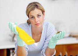 housewifery