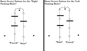 hurry-scurry