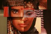 hybridity