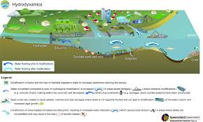 hydrodynamic