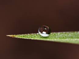 hydrophobic