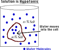 hypotonic