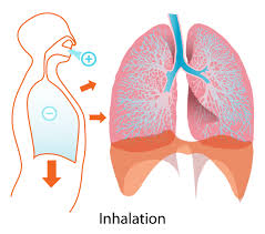 inhalation