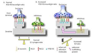 inhibitory