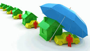 insurer