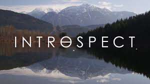 introspect