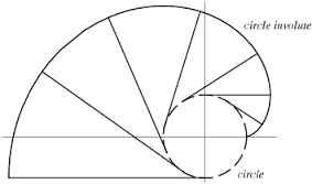 involute