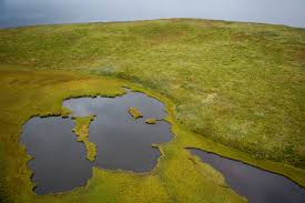 landmass