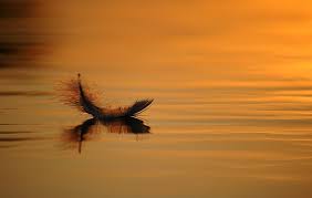 lightness