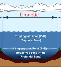 limnetic