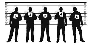 lineup