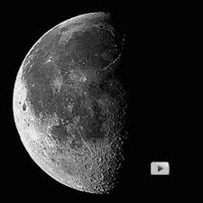 lunation