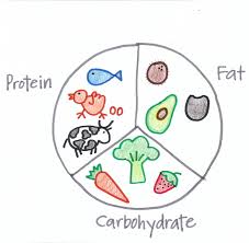macronutrient