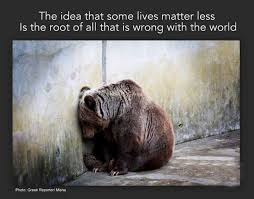 matterless
