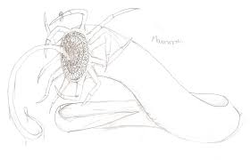 mawworm