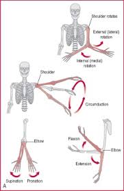 medially