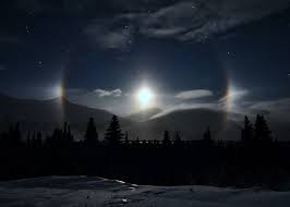 moon-dog
