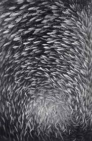 multitudinous