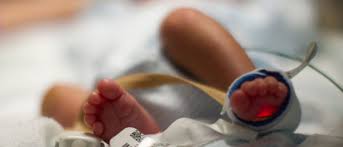 neonatology
