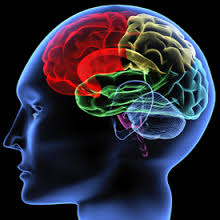 neurologically