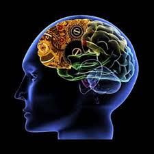 neurologist