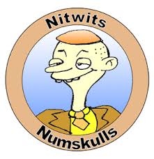 nitwit