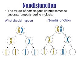 non-disjunction