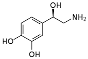 norepinephrine